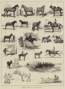 Mostra di cavalli a Manchester da Alfred Chantrey Corbould