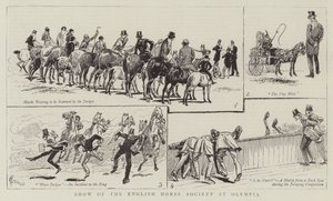 Mostra della Società del Cavallo Inglese a Olympia
