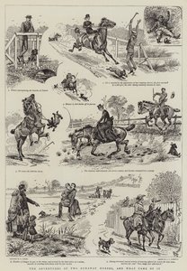 Le avventure di due cavalli fuggitivi e cosa ne è venuto fuori da Alfred Chantrey Corbould