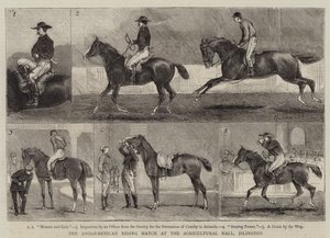 La gara di equitazione anglo-messicana all