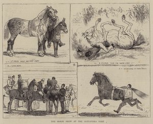La mostra del cavallo al Parco Alexandra da Alfred Chantrey Corbould