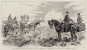 La batteria di muli da montagna, recentemente formata ad Aldershot, in azione sul Campo di Cesare da Alfred Chantrey Corbould