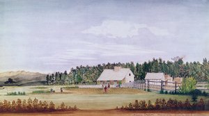 Stazione Mania, Wairarapa, Nuova Zelanda da Alfred Chapman