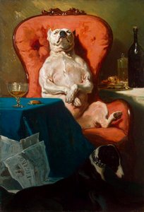 Cane Carlino in una poltrona