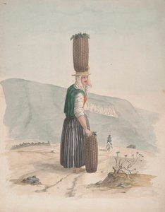 Venditore di carbone, Tenerife