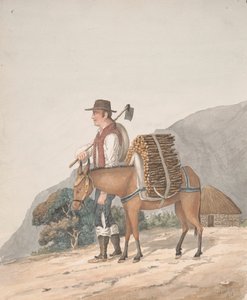 Venditore di legna da ardere, Tenerife da Alfred Diston