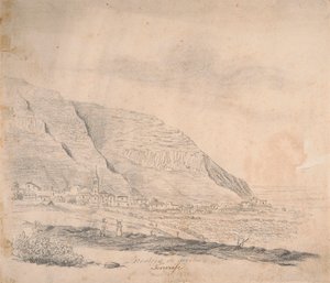 Realejo de arriba, Tenerife da Alfred Diston