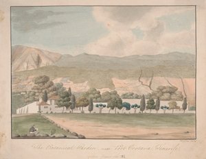 Il giardino botanico vicino a Port Orotava, Tenerife da Alfred Diston