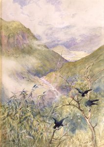 Guardando oltre i gigli: La valle di Nikko guardando verso est verso la provincia di Shimo-no-Tsuke, c.1889