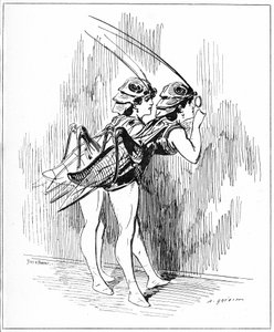 Illustrazione per "Lo Spirito delle Donne"