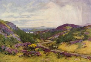 Danimarca: Colline di Raebild, vicino ad Aalborg da Alfred Heaton Cooper