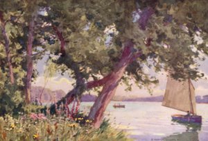 Lago Fritton, Suffolk, Una Mattina d