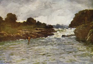 Cascate di Kathleen, Ballyshannon da Alfred Heaton Cooper