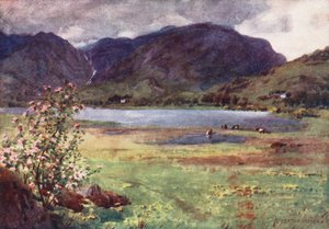 Distretto dei Laghi: Little Langdale Tarn