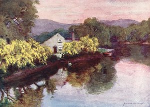 Distretto dei laghi: Vecchi laburni a Newby Bridge, Windermere da Alfred Heaton Cooper