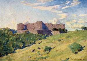 rovine del castello di Borgholm, Oland