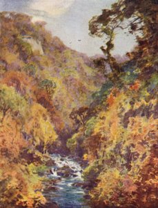 Il Dargle, Contea di Wicklow da Alfred Heaton Cooper