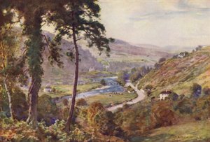 La Valle di Ovoca da Alfred Heaton Cooper