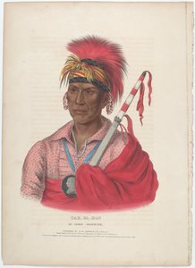 Tah-Ro-Hon, un guerriero Ioway da Alfred Hoffy, after Charles Bird King