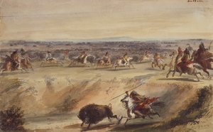 Una caccia al bufalo, c.1839 da Alfred Jacob Miller