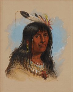 «Big Bowl» (un capo Crow) da Alfred Jacob Miller