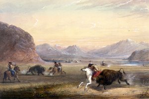 Caccia al bisonte, presso Independence Rock da Alfred Jacob Miller