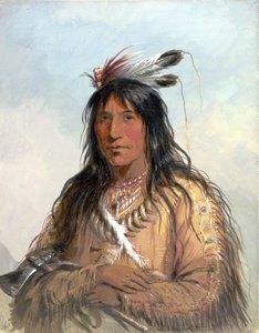  da Alfred Jacob Miller