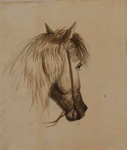Testa di cavallo da Alfred Jacob Miller