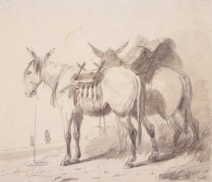Equipaggiamento per muli, c.1837 da Alfred Jacob Miller