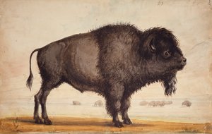 Annusando la brezza, c.1837