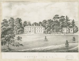 Cotton - Hall da Alfred Jolly Caldicott