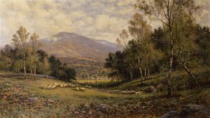 Vicino a Bettws-Y Coed