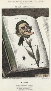 Fiore Déséchée: caricatura su Littré - ill. dal 01/02/1871 in Fiori, Frutti e Verdure del Giorno da Alfred Le Petit