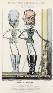 Le Myosotis: caricatura su Clément Thomas - ill. dal 03/02/1871 in Fiori, Frutti e Verdure del Giorno da Alfred Le Petit