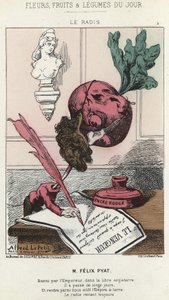 Le Radis: caricatura su Félix Pyat (1810 - 1889) - ill. del 02/02/187 in "Fiori, Frutti e Verdure del Giorno" da Alfred Le Petit