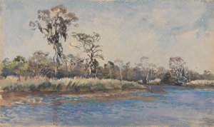 Un Torrente a Wilmington, N.C.