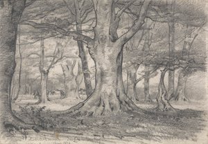 Paesaggio forestale vicino a Boldrewood da Alfred Parsons