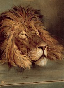 Il leone britannico addormentato (cromolitografia)