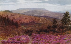 Blackdown da Hindhead da Alfred Robert Quinton