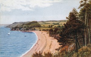 Spiagge di Blackpool, da W, S Devon