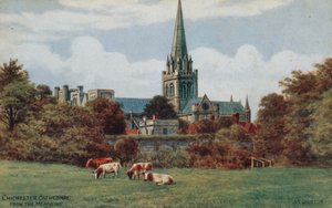 Cattedrale di Chichester, dai prati da Alfred Robert Quinton