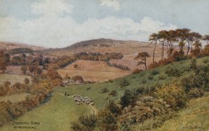 Cissbury Ring vicino a Worthing da Alfred Robert Quinton