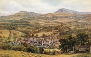 Dolgelley e Cader Idris da Alfred Robert Quinton