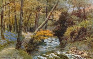 Groudle Glen, Isola di Man da Alfred Robert Quinton