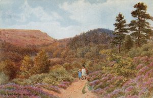 Hindhead da Alfred Robert Quinton