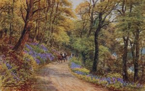 Hobby Drive, Clovelly (litografia a colori)