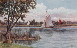 Salhouse Broad