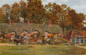 Swan Green, Lyndhurst da Alfred Robert Quinton