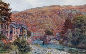 Il ponte, Beddgellert da Alfred Robert Quinton