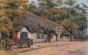 Il gatto e il violino, New Forest da Alfred Robert Quinton